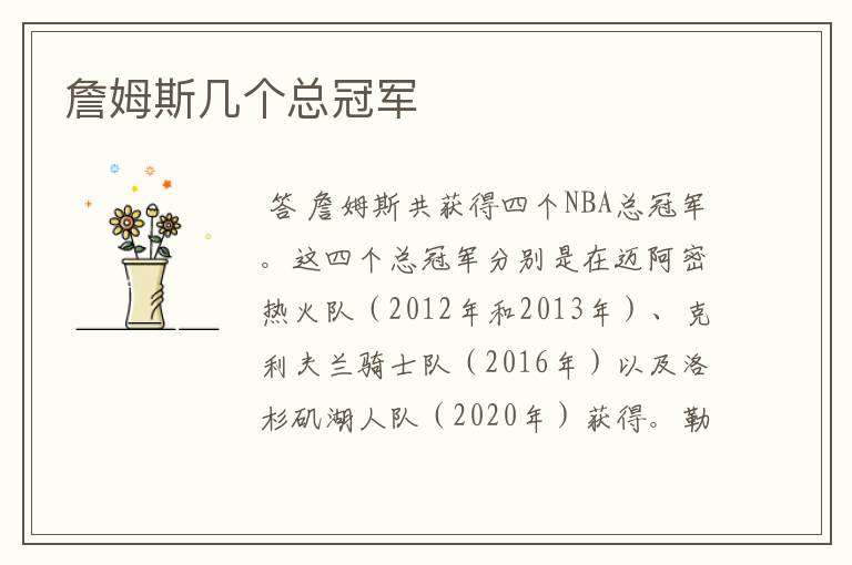 詹姆斯几个总冠军