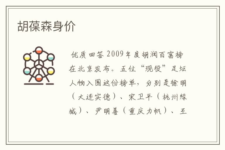 胡葆森身价
