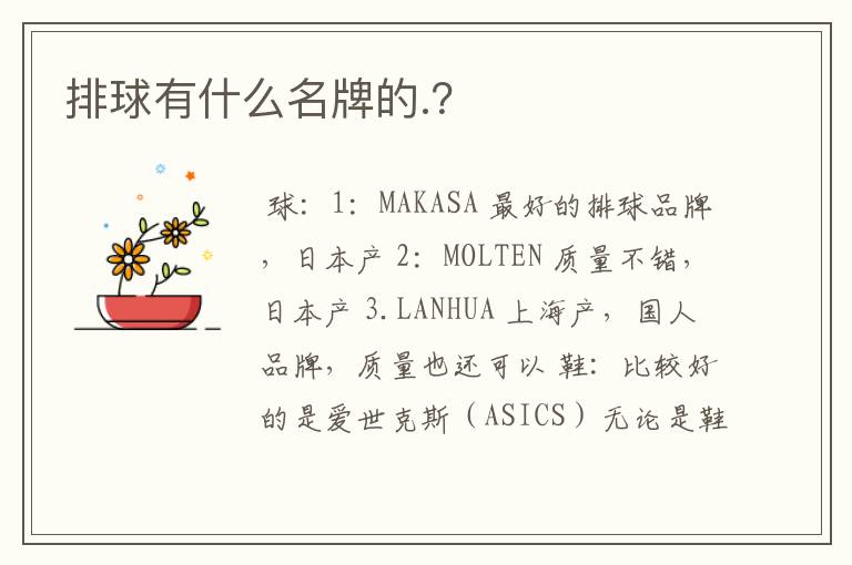 排球有什么名牌的.?