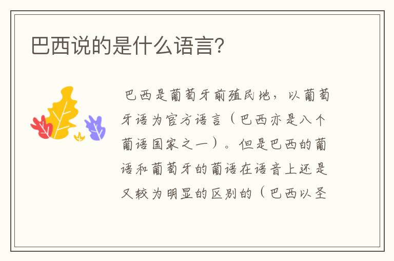 巴西说的是什么语言?