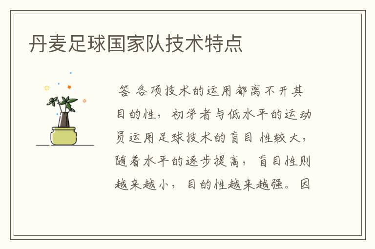 丹麦足球国家队技术特点