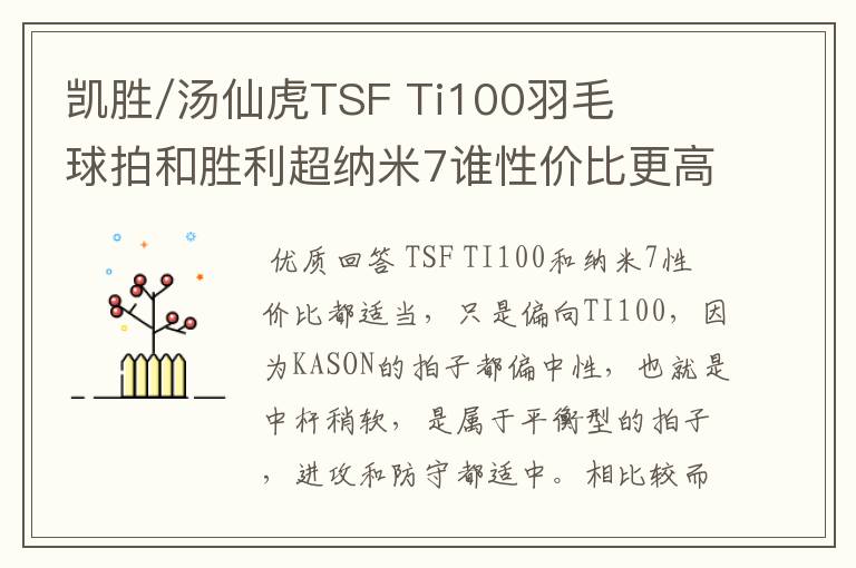 凯胜/汤仙虎TSF Ti100羽毛球拍和胜利超纳米7谁性价比更高