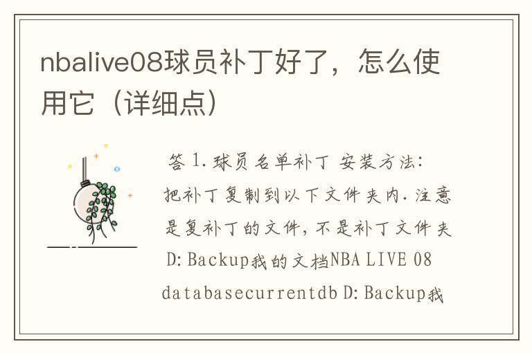 nbalive08球员补丁好了,怎么使用它(详细点)