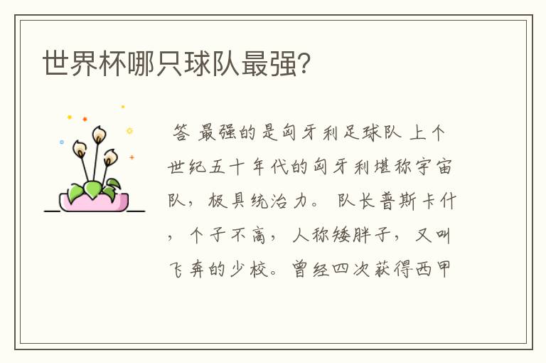 世界杯哪只球队最强?