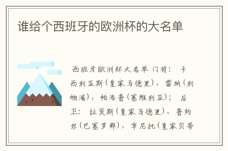 谁给个西班牙的欧洲杯的大名单