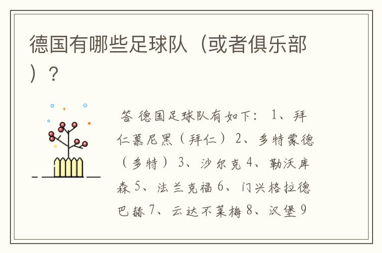 德国有哪些足球队(或者俱乐部)?