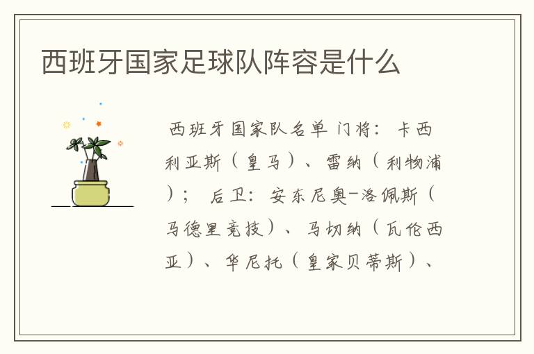 西班牙国家足球队阵容是什么