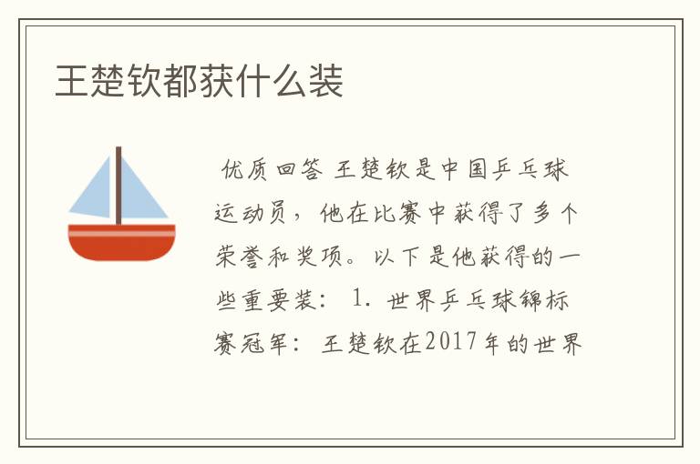 王楚钦都获什么装