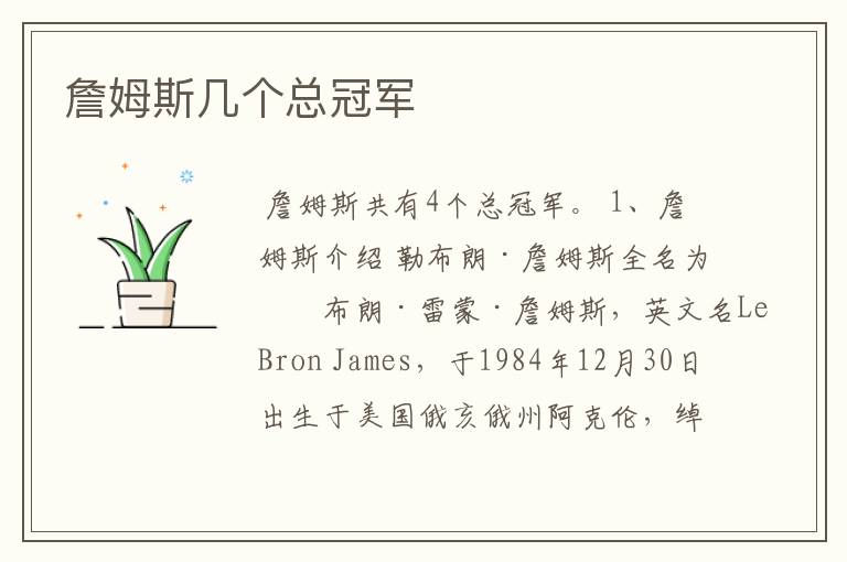 詹姆斯几个总冠军