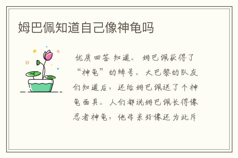 姆巴佩知道自己像神龟吗