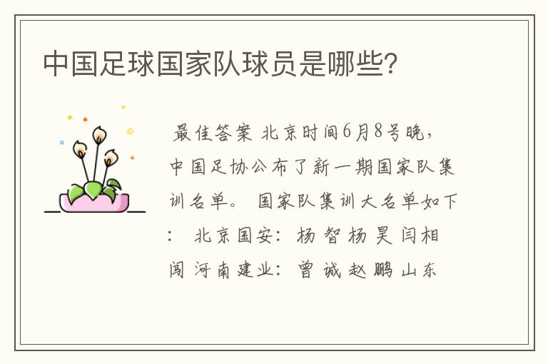 中国足球国家队球员是哪些?