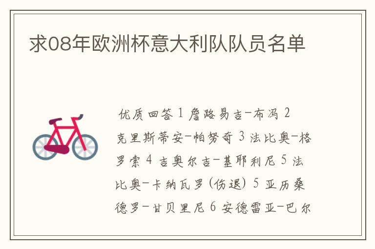 求08年欧洲杯意大利队队员名单