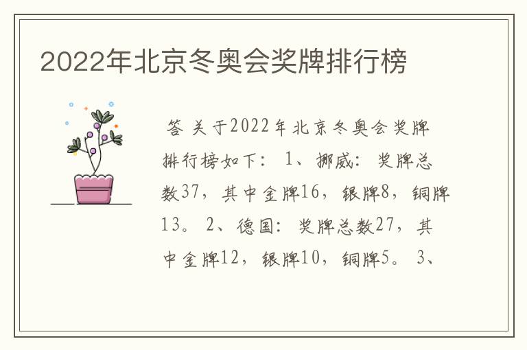 2022年北京冬奥会奖牌排行榜