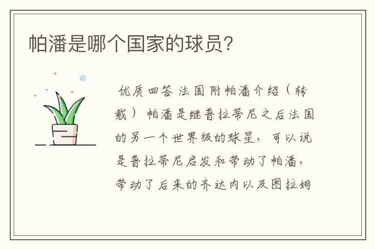帕潘是哪个国家的球员?