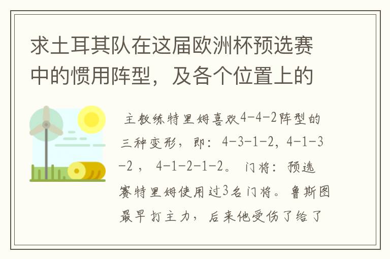 求土耳其队在这届欧洲杯预选赛中的惯用阵型,及各个位置上的主力人选?