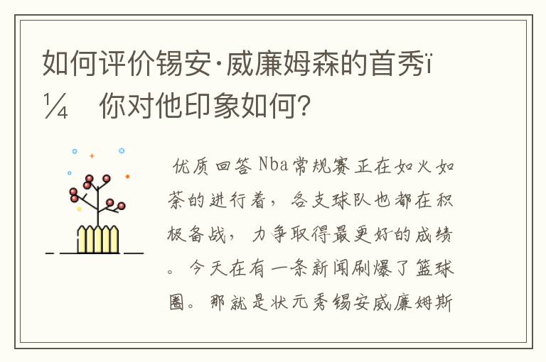 如何评价锡安·威廉姆森的首秀,你对他印象如何?