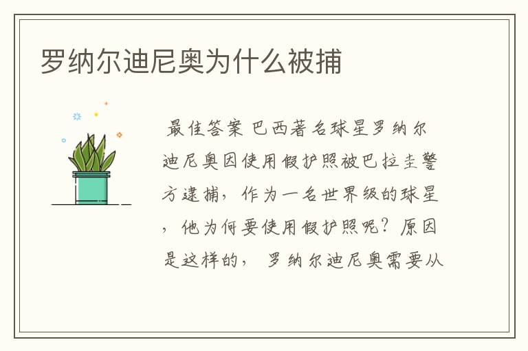 罗纳尔迪尼奥为什么被捕
