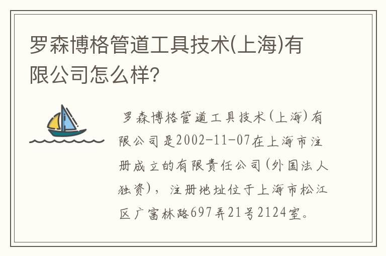 罗森博格管道工具技术(上海)有限公司怎么样?
