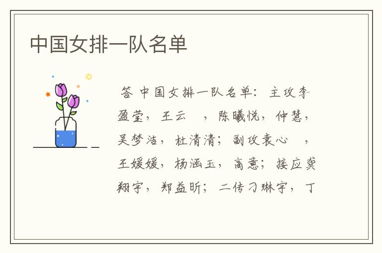 中国女排一队名单