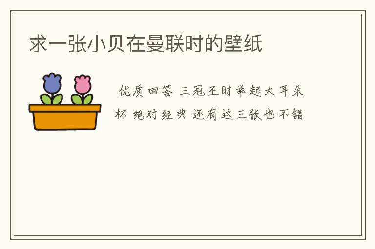 求一张小贝在曼联时的壁纸