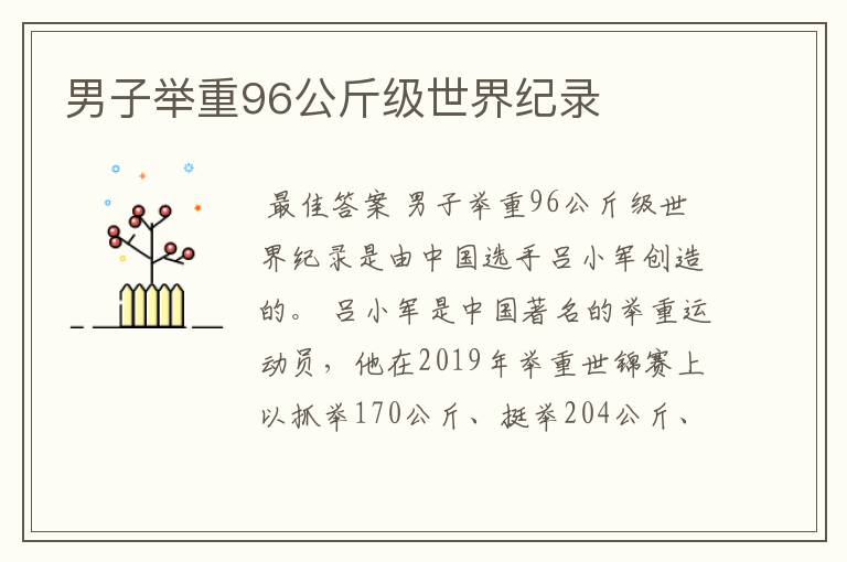 男子举重96公斤级世界纪录