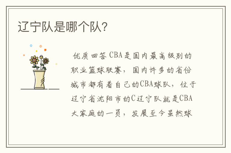 辽宁队是哪个队？