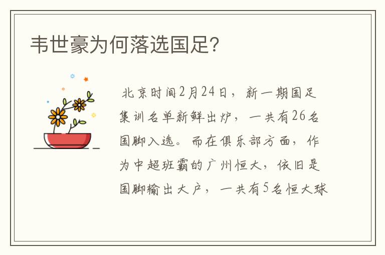 韦世豪为何落选国足?