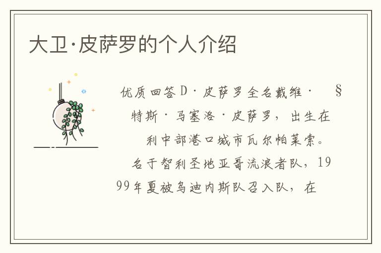 大卫·皮萨罗的个人介绍