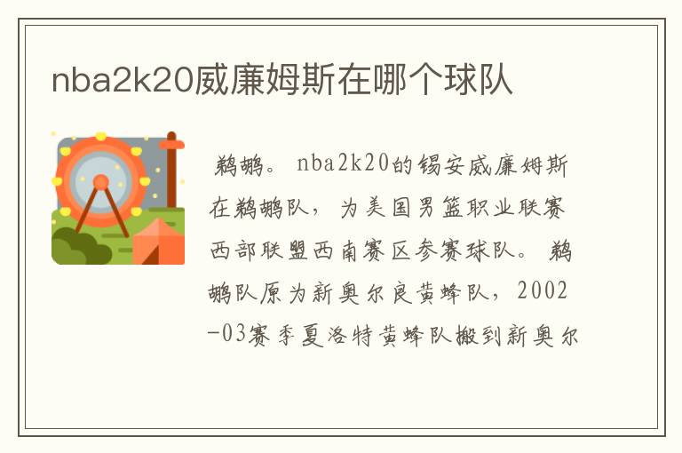 nba2k20威廉姆斯在哪个球队