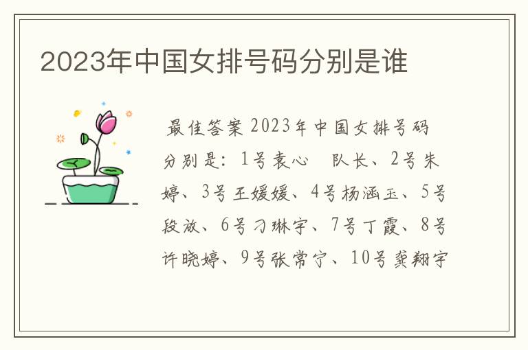 2023年中国女排号码分别是谁