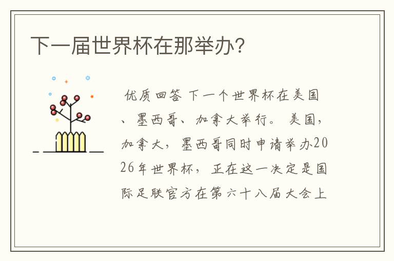 下一届世界杯在那举办?
