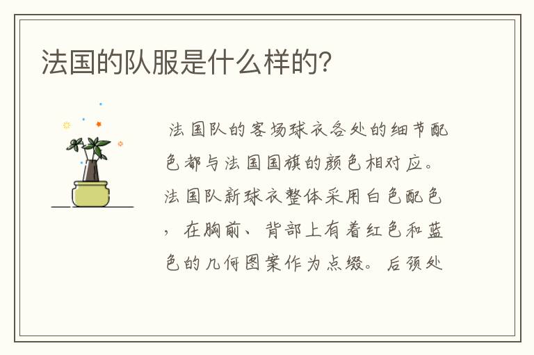法国的队服是什么样的?