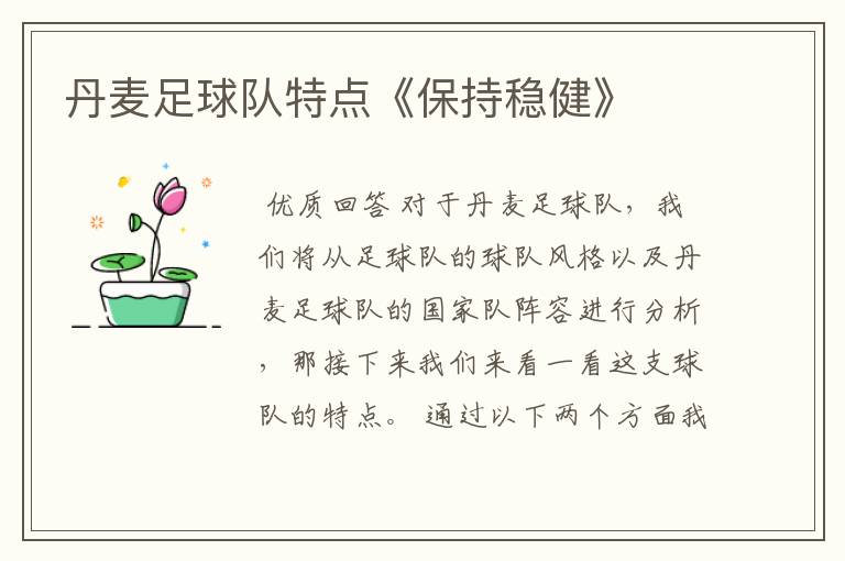 丹麦足球队特点《保持稳健》