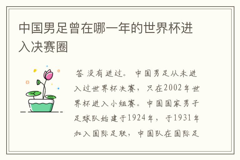 中国男足曾在哪一年的世界杯进入决赛圈