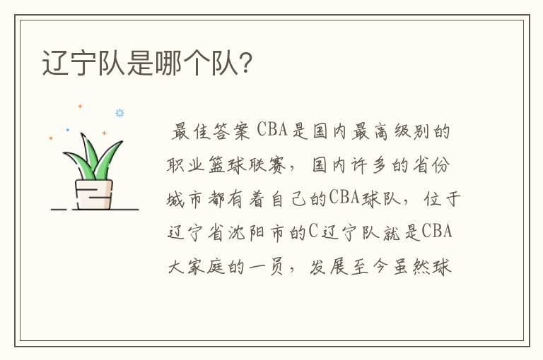 辽宁队是哪个队?