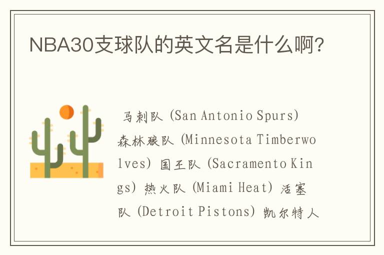 NBA30支球队的英文名是什么啊?
