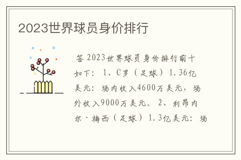 2023世界球员身价排行