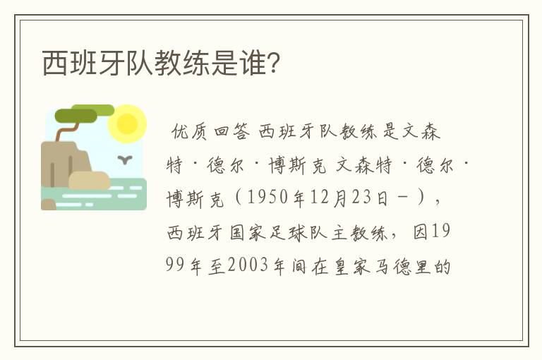 西班牙队教练是谁?