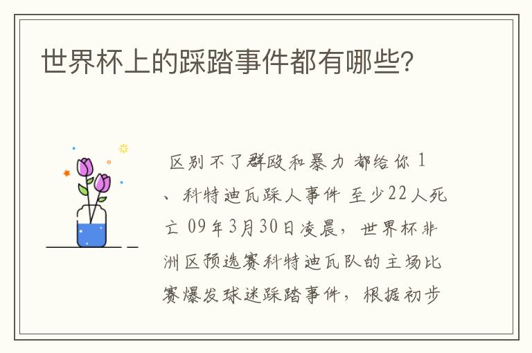 世界杯上的踩踏事件都有哪些?