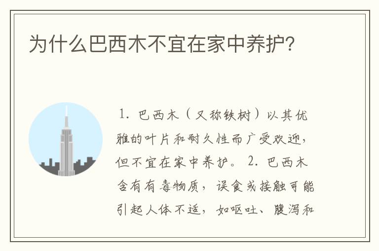 为什么巴西木不宜在家中养护？