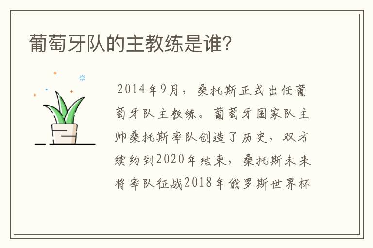 葡萄牙队的主教练是谁？