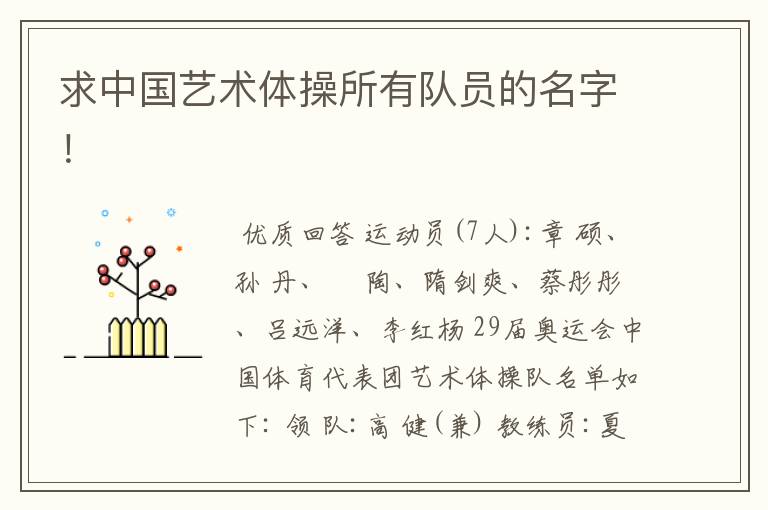 求中国艺术体操所有队员的名字!