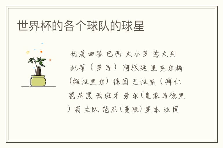 世界杯的各个球队的球星