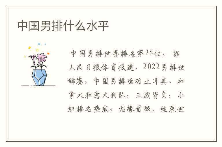 中国男排什么水平