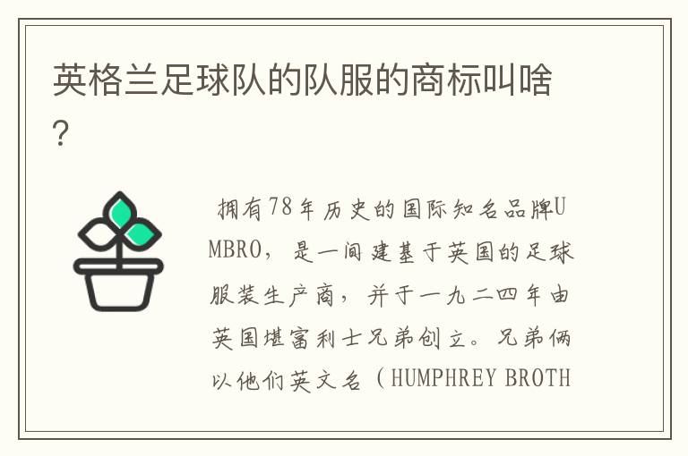 英格兰足球队的队服的商标叫啥?