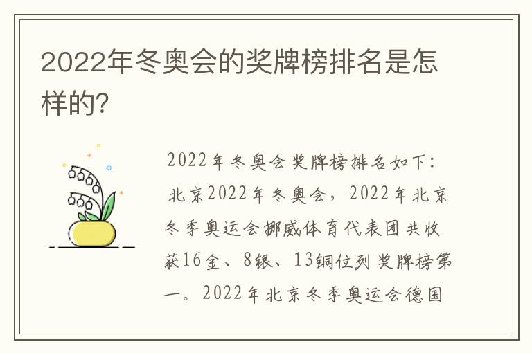2022年冬奥会的奖牌榜排名是怎样的?