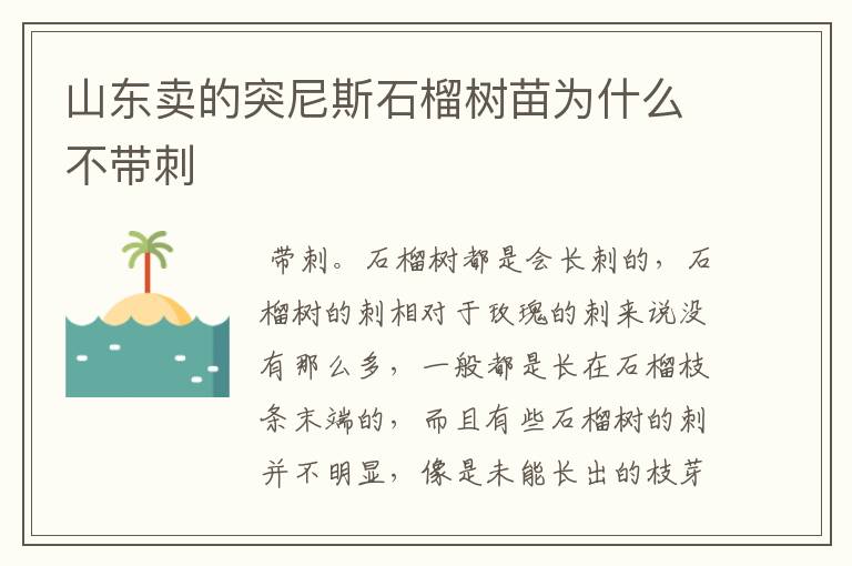 山东卖的突尼斯石榴树苗为什么不带刺