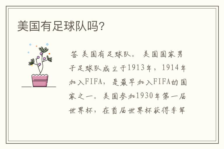 美国有足球队吗?