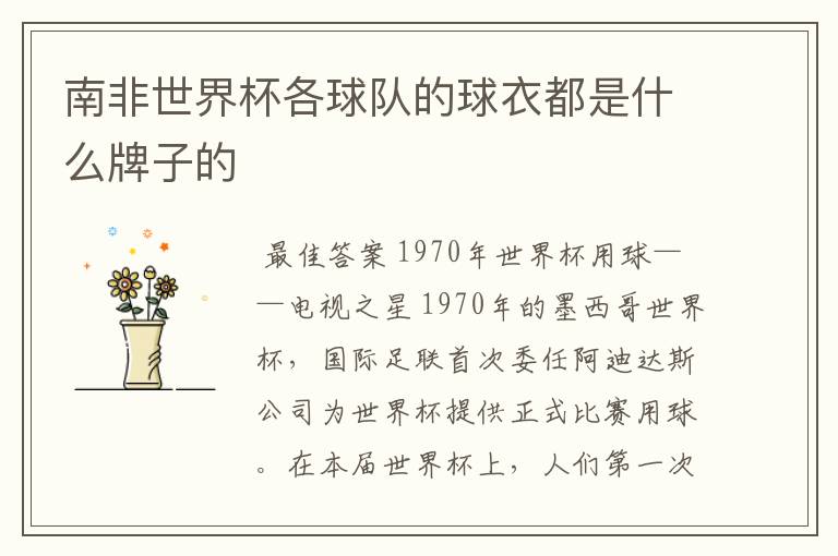 南非世界杯各球队的球衣都是什么牌子的