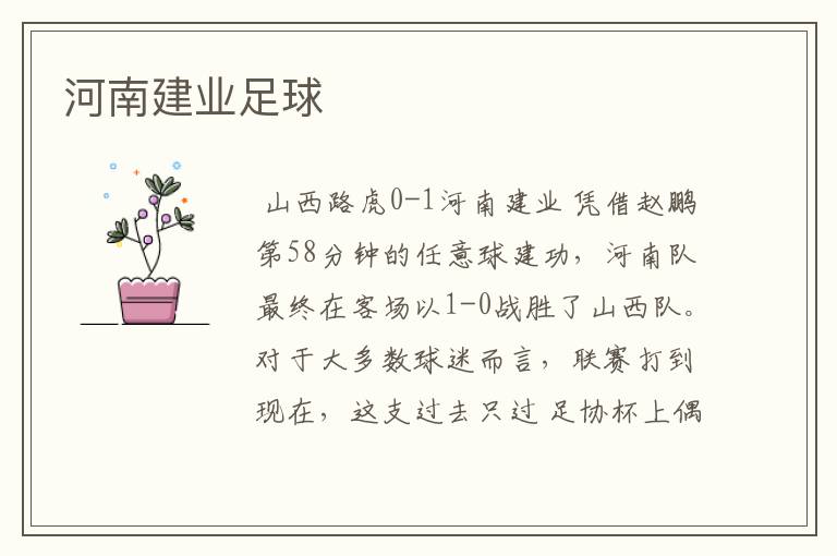 河南建业足球